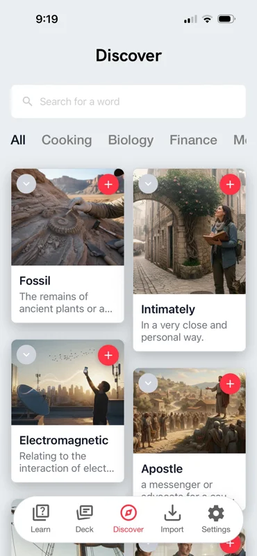 Discover feed grouping vocabulary by category